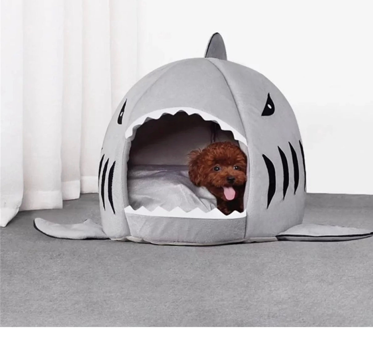Cozy Shark Dog Bed | Where Comfort Meets Classic Cinema