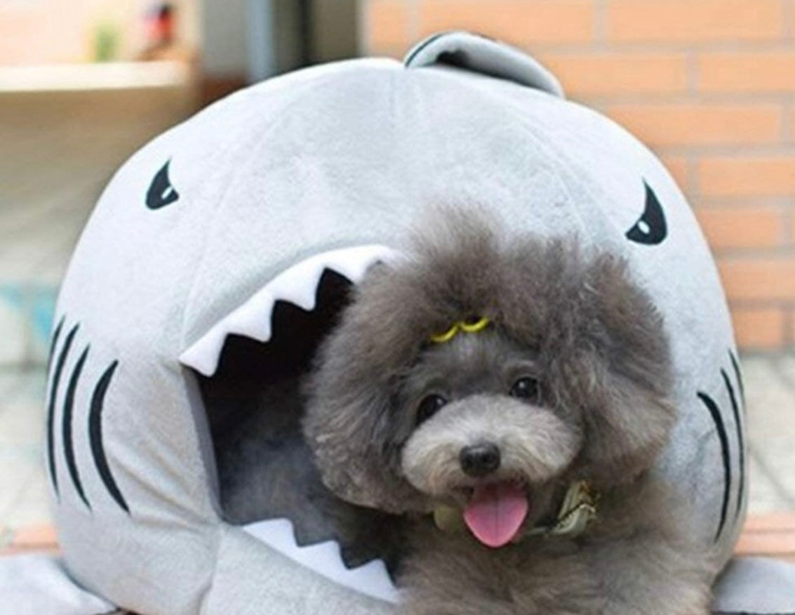 Cozy Shark Dog Bed | Where Comfort Meets Classic Cinema