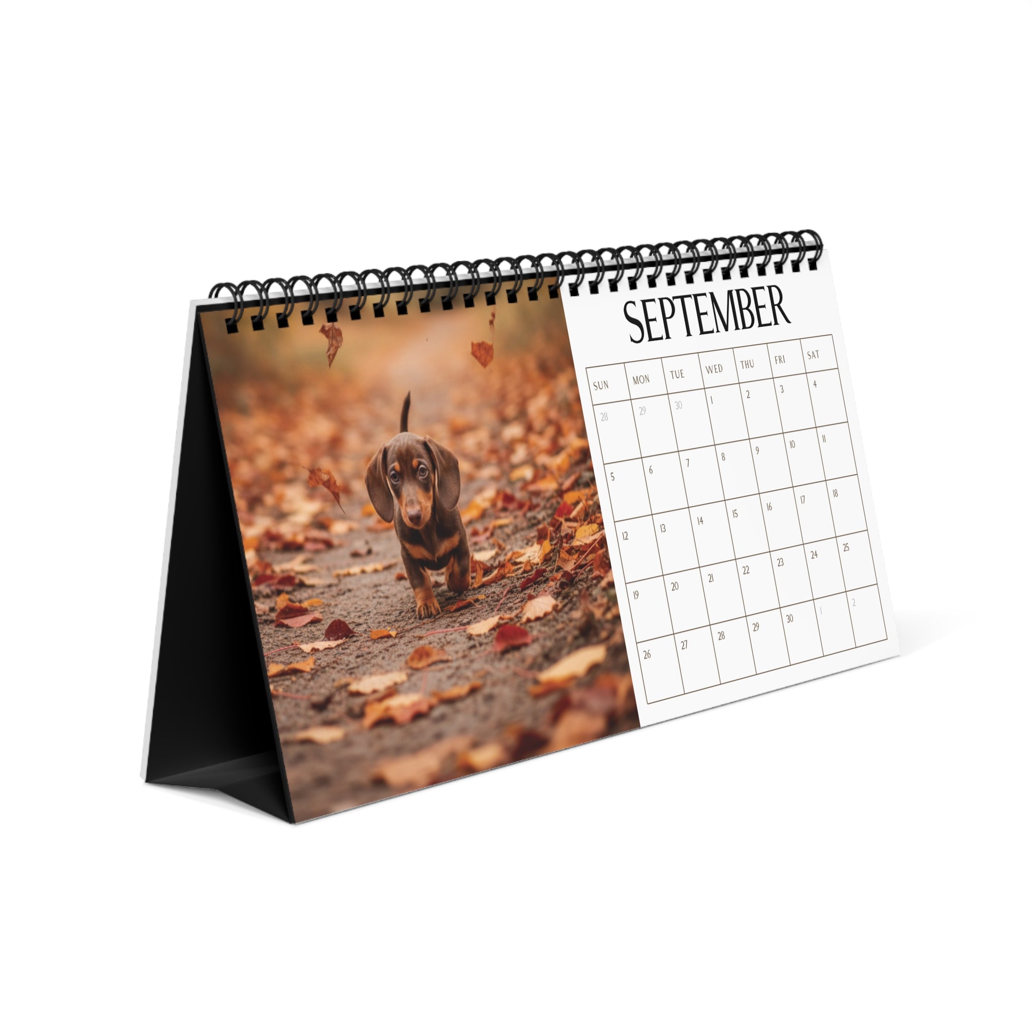Doxie Desk Calendar Office Decor Dog Lover Gift Idea Secret Santa Present 2027 Monthly Planner Puppy Photography Cute Doxie Tent Calendar