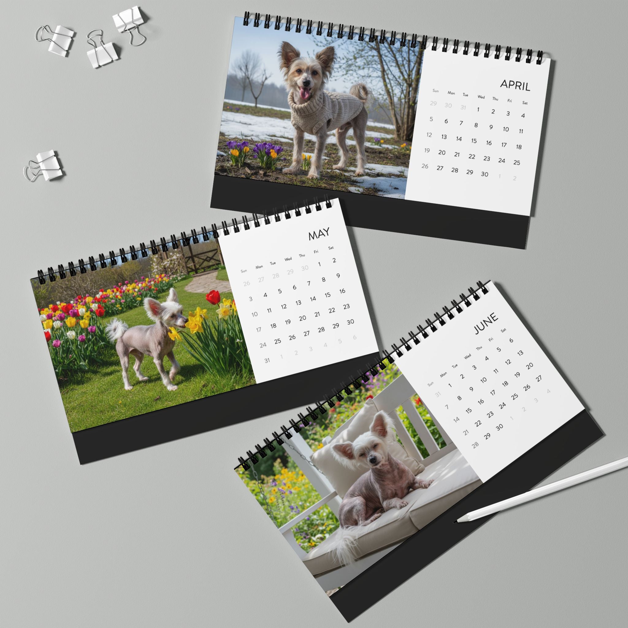 Bare Beauty Chinese Crested Calendar 2026 Hairless Dog Desk Calendar Dog Lover Gift Desktop Calendar Dog Mom Gift Stocking Stuffer
