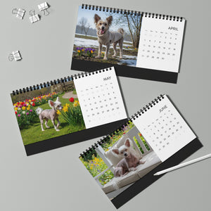 Bare Beauty Chinese Crested Calendar 2026 Hairless Dog Desk Calendar Dog Lover Gift Desktop Calendar Dog Mom Gift Stocking Stuffer