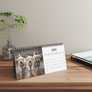 Desktop Calendar with labrador puppies on a wooden surface with a plant and books in the background