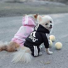 Dog Jumpsuit Costume | Adidog Sweatshirt for Dogs | Dog Sweats |Workout Wear for Dogs