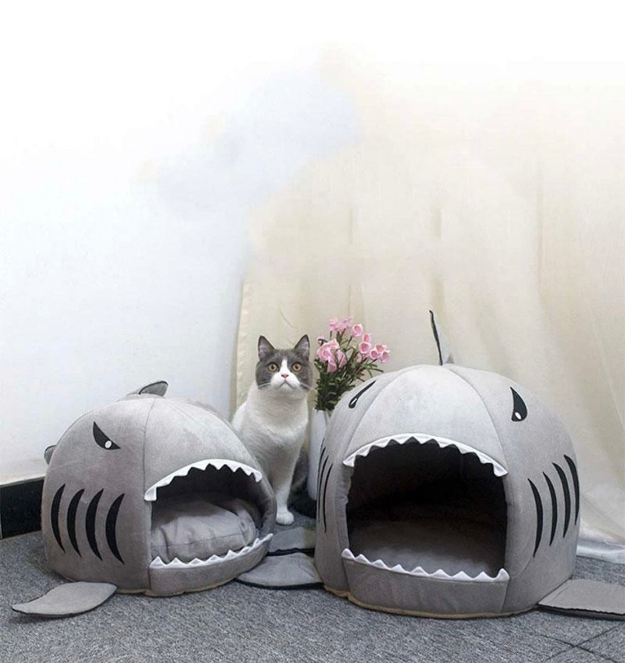 Cozy Shark Dog Bed | Where Comfort Meets Classic Cinema
