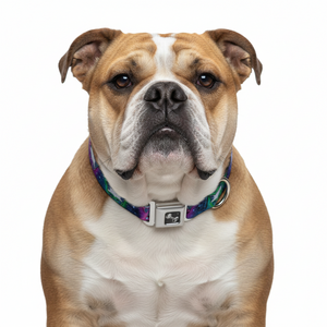 Dog Bone Seatbelt Buckle Collar - Laser Eye Cats in Space