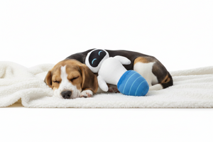 Dog Toy Squeaker Plush - Pixar Wall-E EVE Robot Full Body Pose