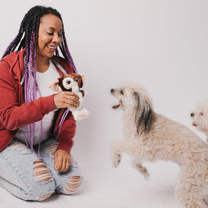 Gremlins Gizmo Dog Toy Squeaker Plush -  Standing Pose