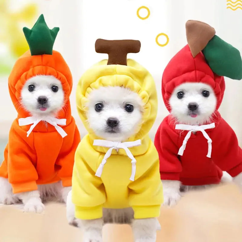Costume, Cute And Cozy Costumes For Pet Frog |Carrot |Banana