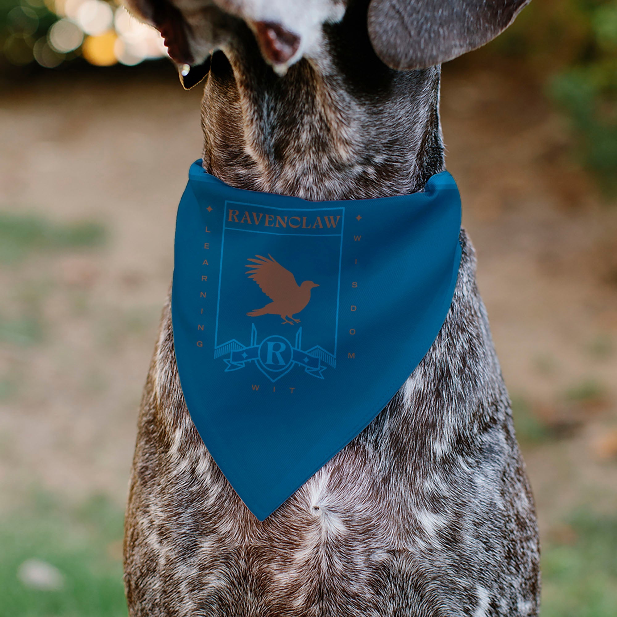 Pet Bandana - Harry Potter RAVENCLAW Traits Banner and Icons Blues/Yellow