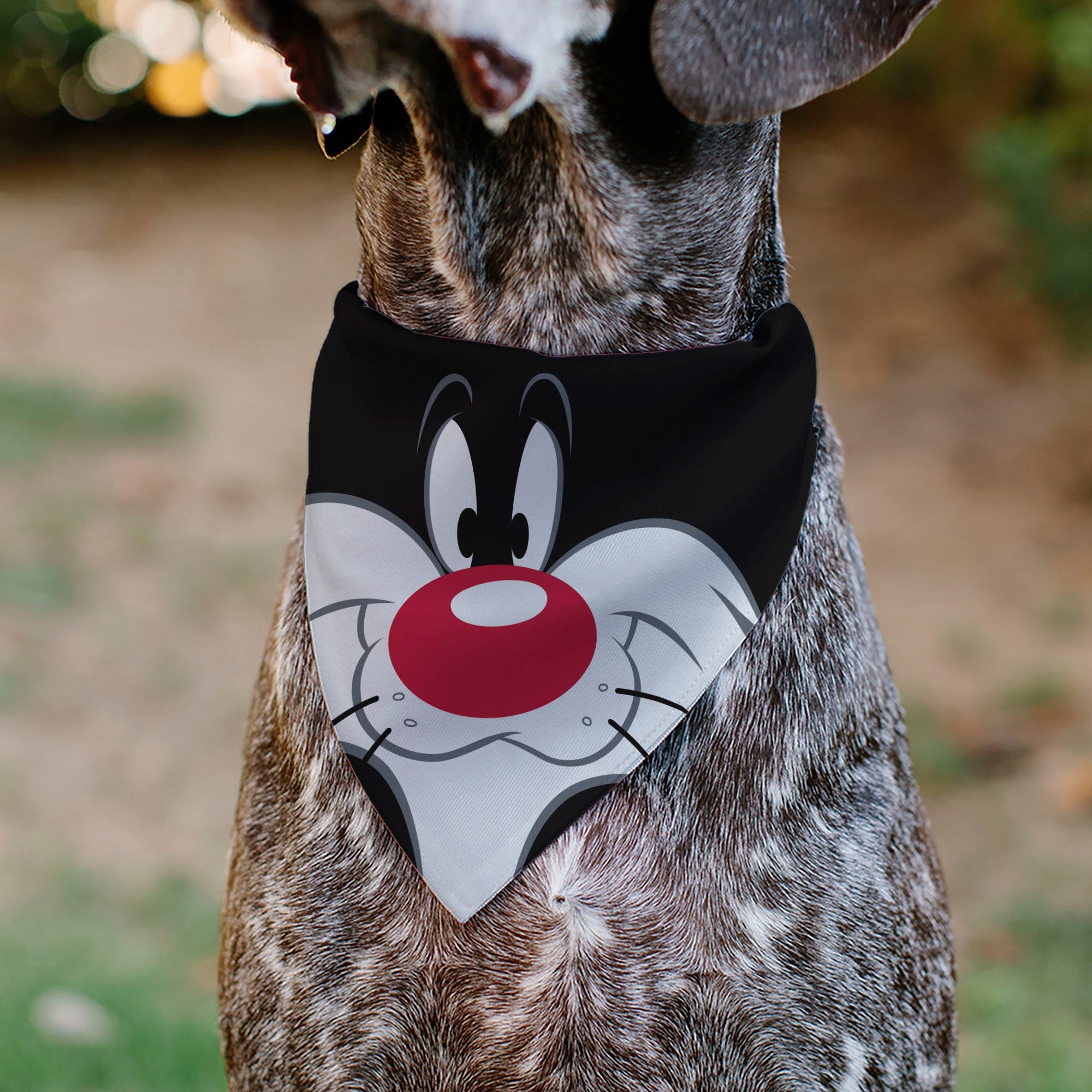 Pet Bandana - LOONEY TUNES Sylvester the Cat Face Close-Up Black