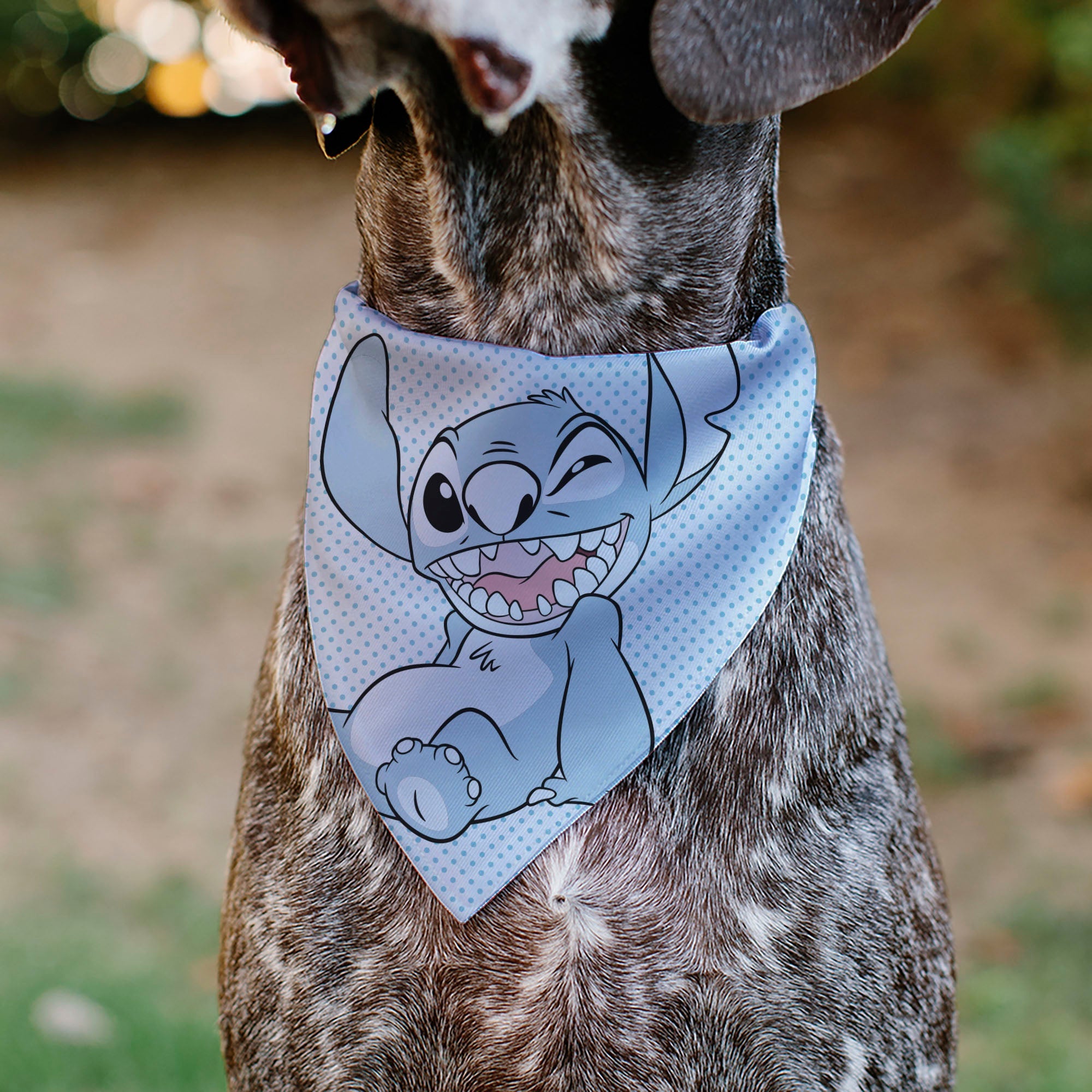 Disney's Stitch Pet Bandana - Lilo & Stitch Stitch Winking Pose and Polka Dots White/Blue