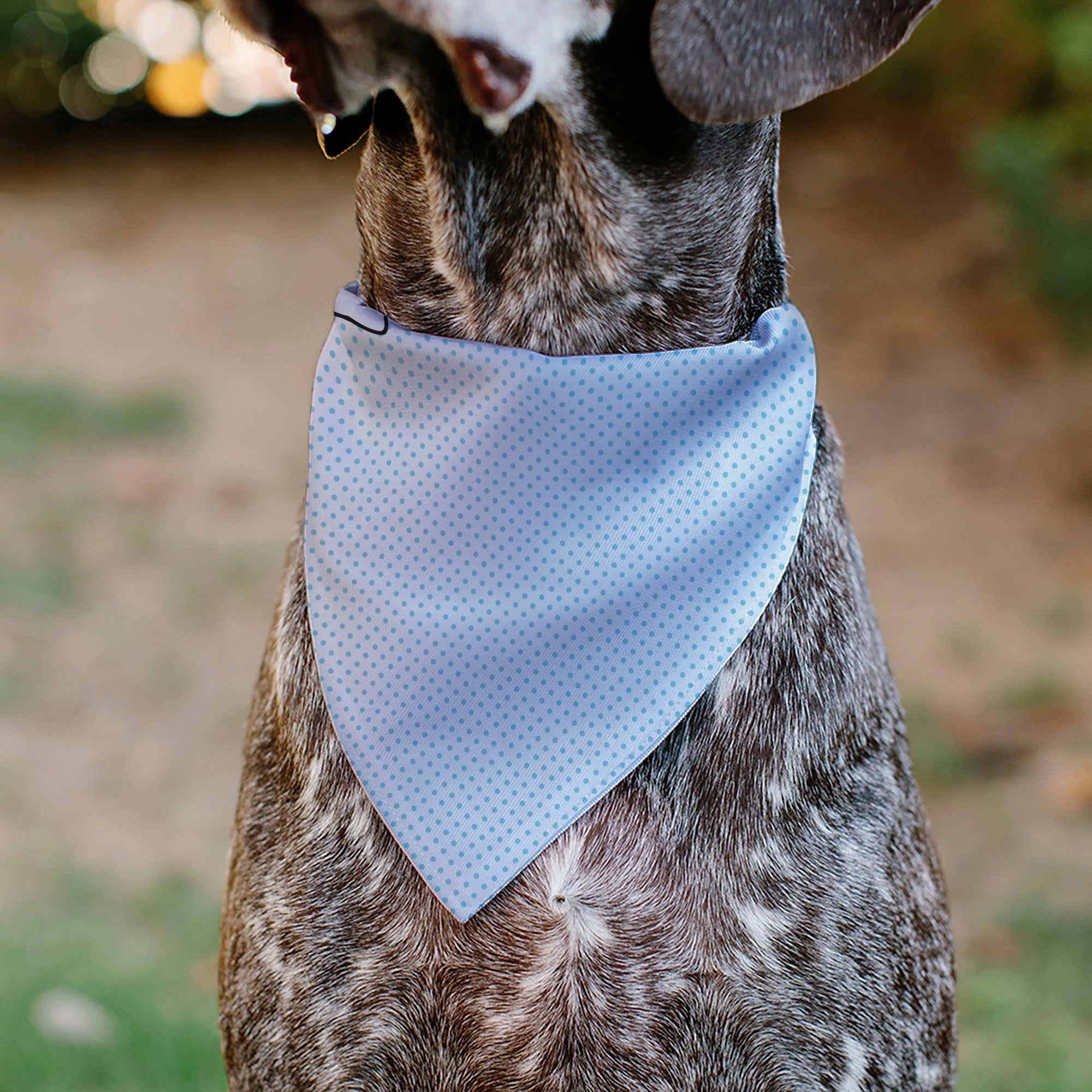 Disney's Stitch Pet Bandana - Lilo & Stitch Stitch Winking Pose and Polka Dots White/Blue