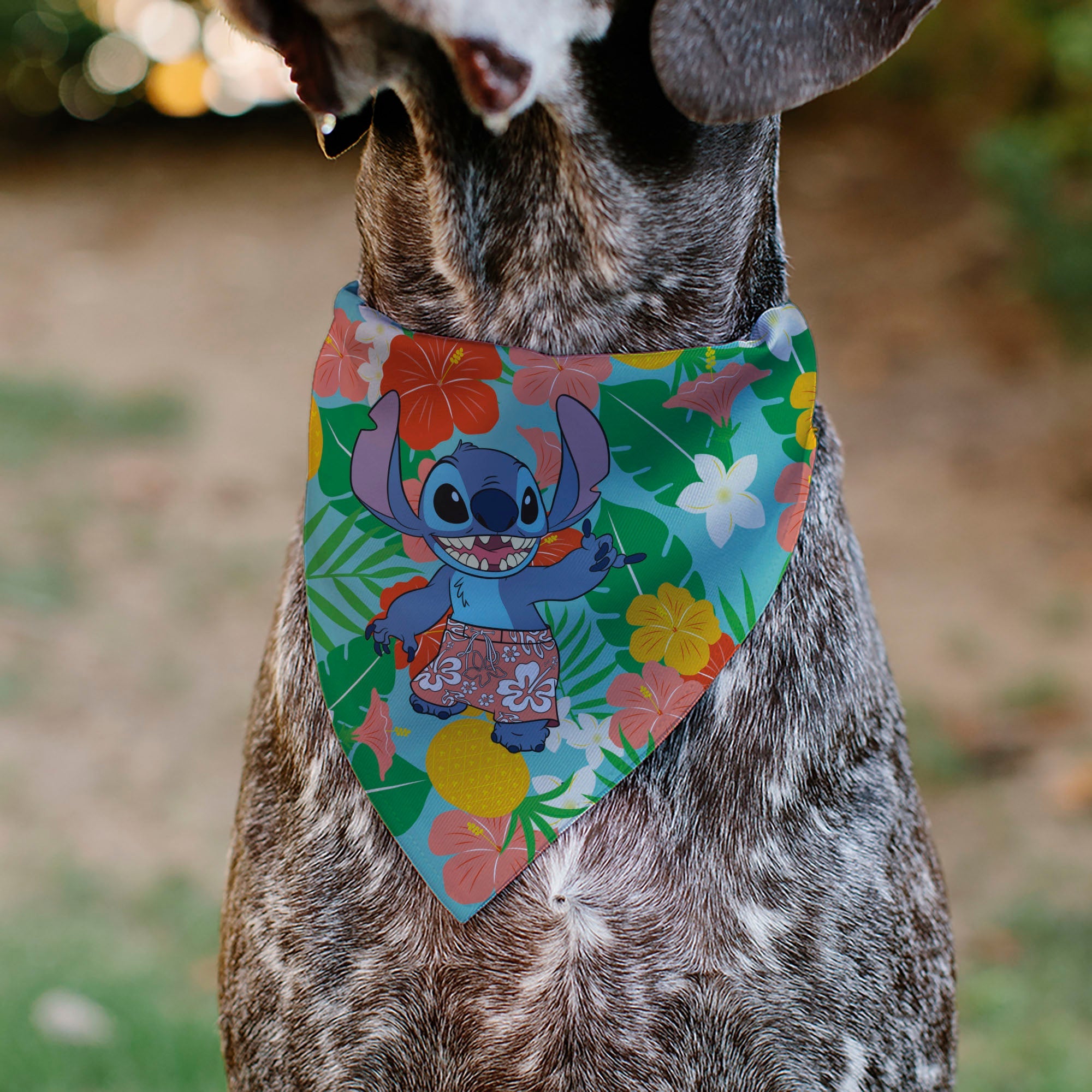 Disney Lilo & Stitch Hang Loose Pet Bandana - Lilo & Stitch Stitch Hang Loose Pose Floral Collage Blue