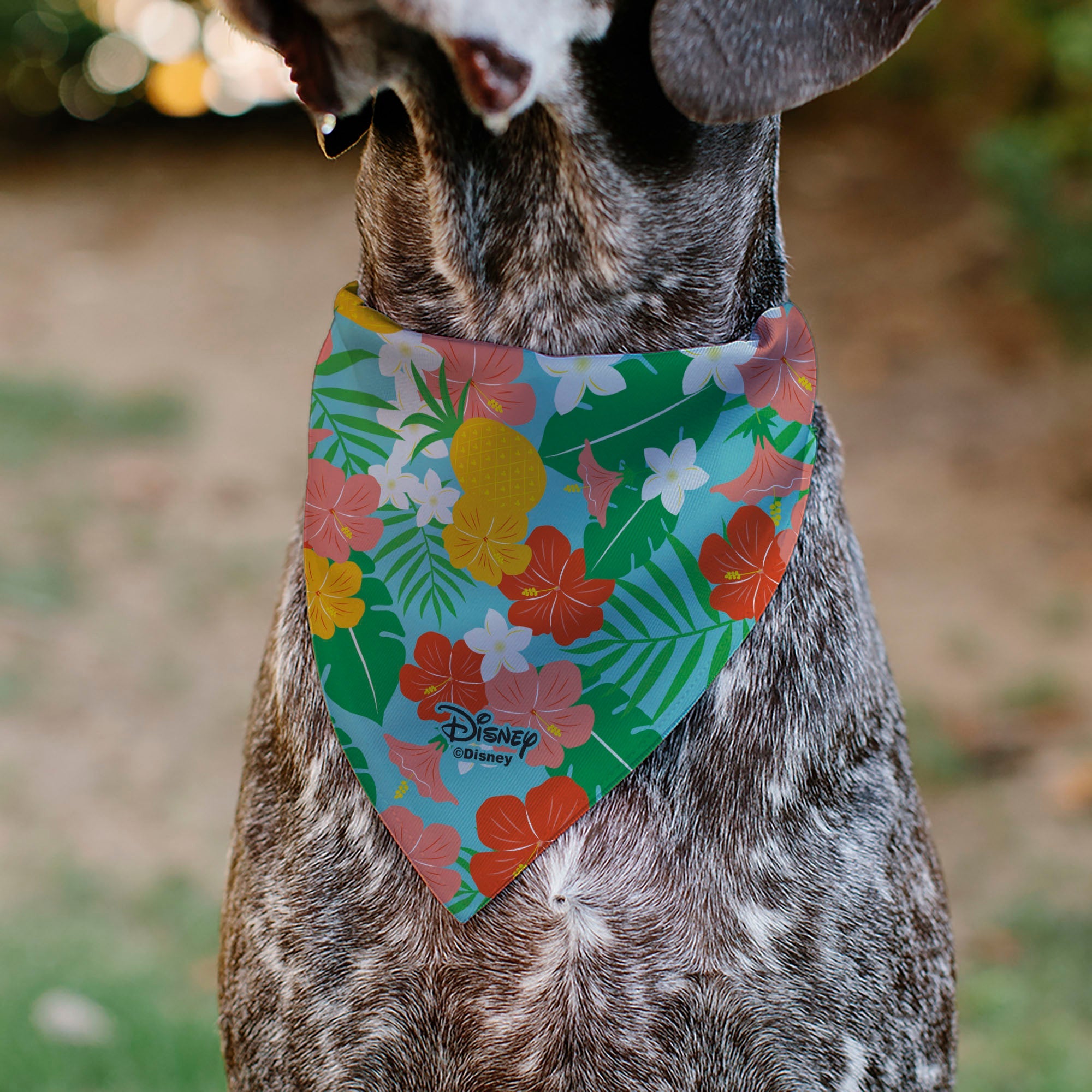Disney Lilo & Stitch Hang Loose Pet Bandana - Lilo & Stitch Stitch Hang Loose Pose Floral Collage Blue
