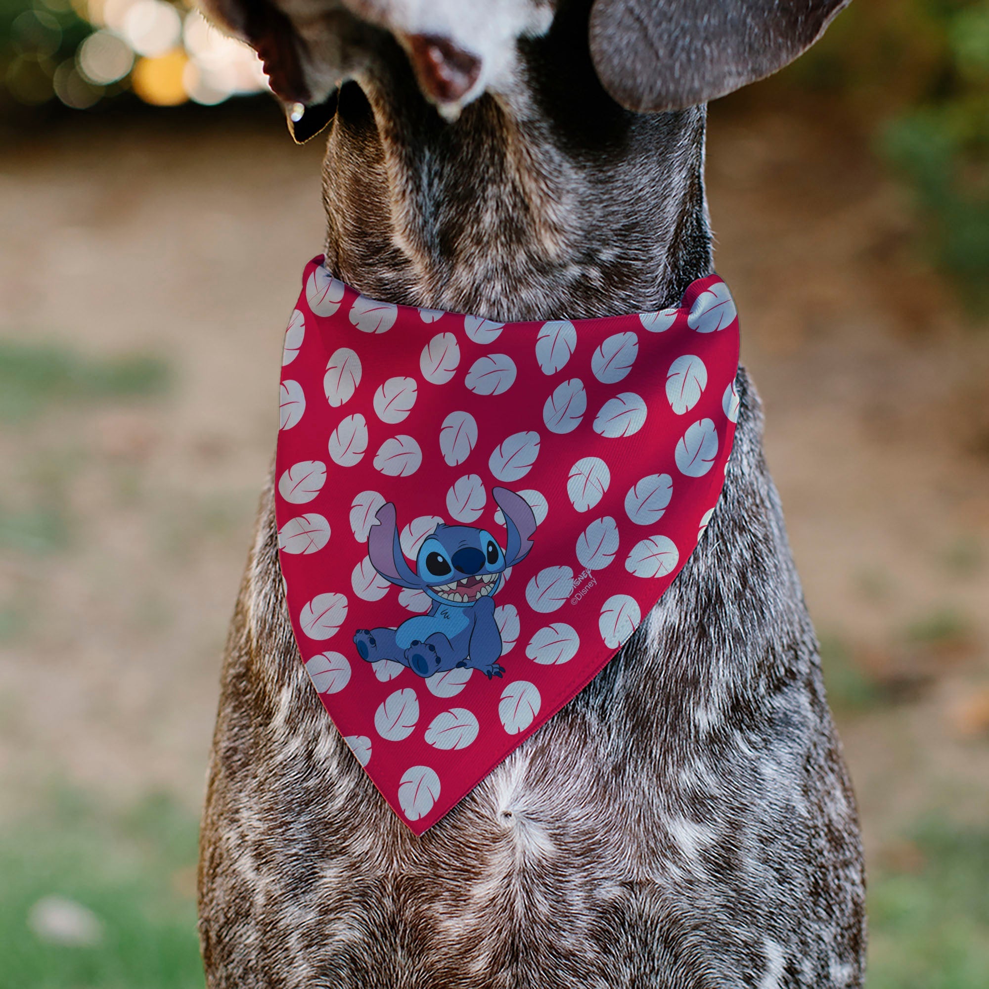 Pet Bandana - Lilo Dress Leaves & Stitch Sitting Pose Red/White