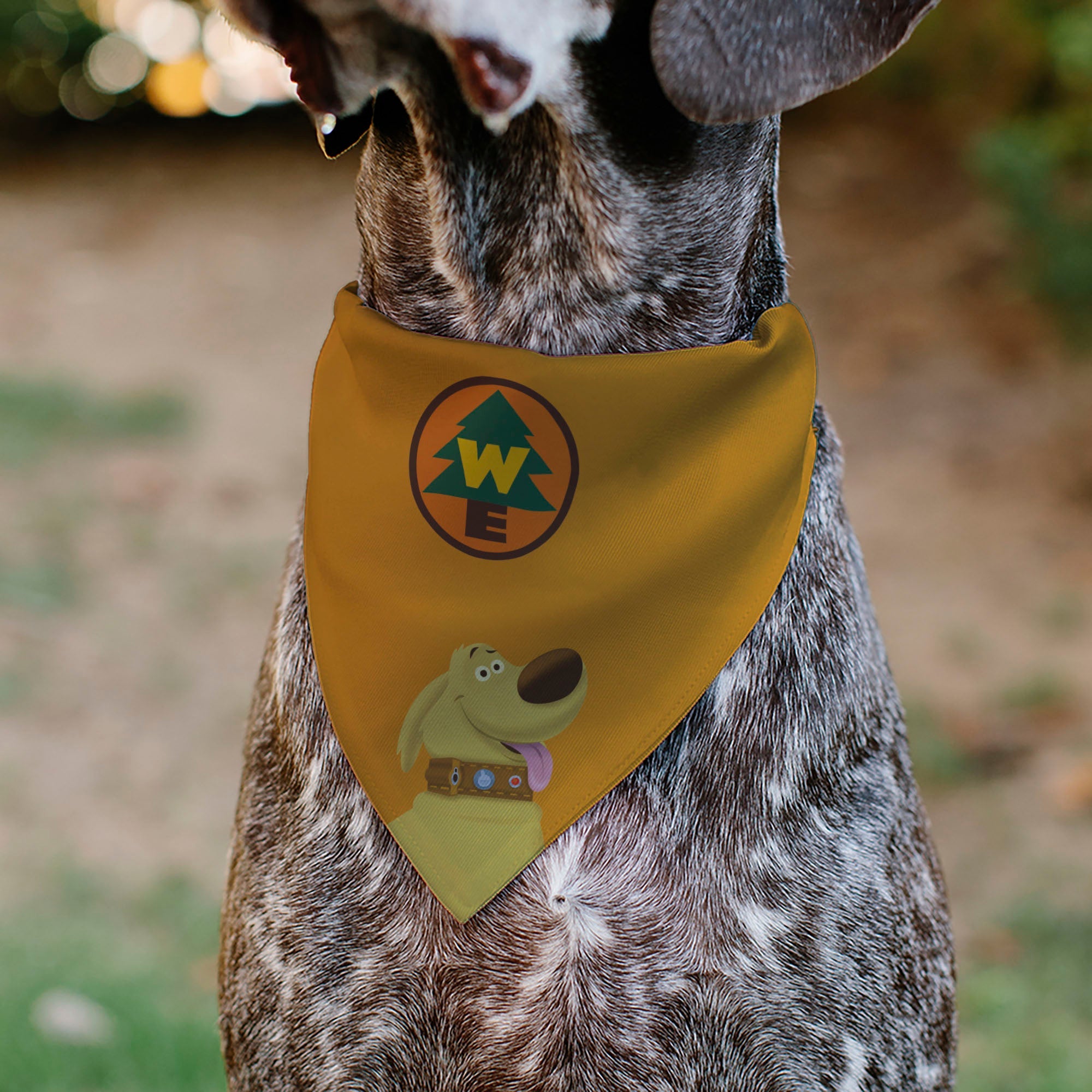 Pet Bandana - Up Dug Pose and Wilderness Explorer Badge Orange | Adventure Bandana