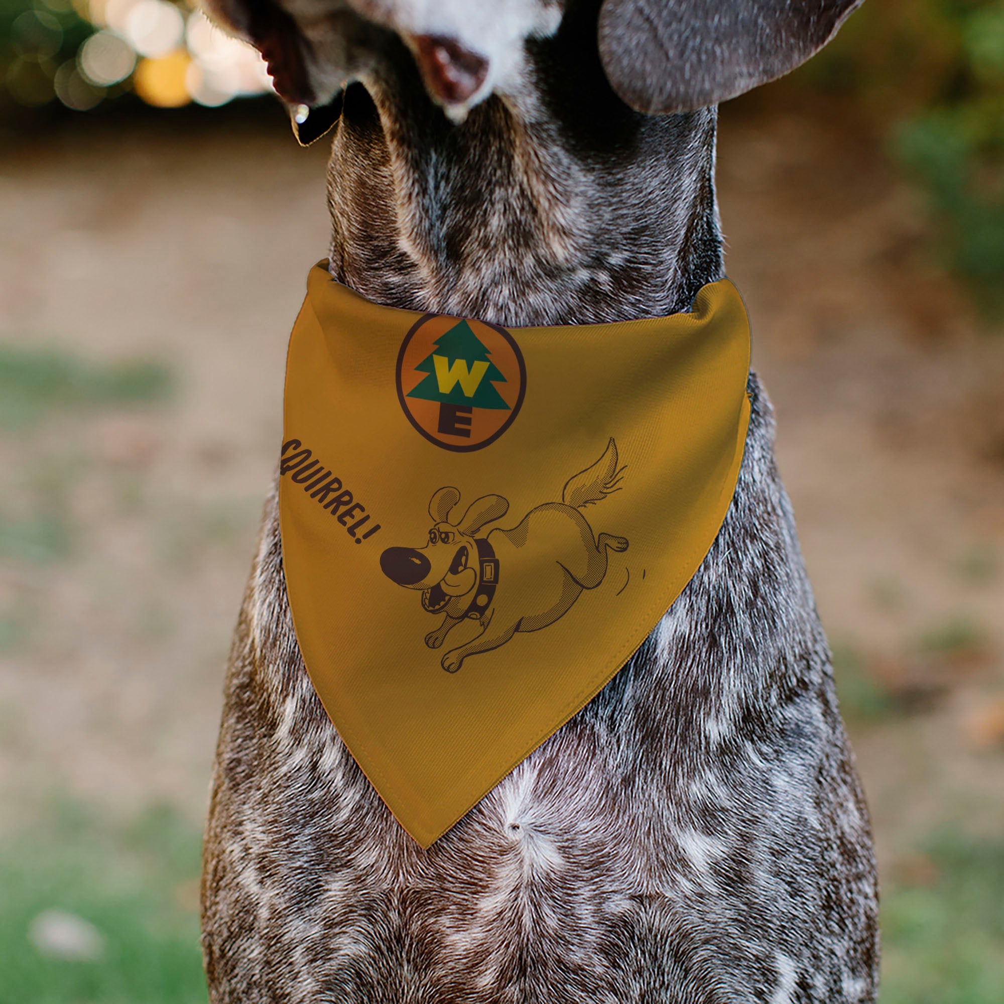 Pet Bandana - Up Dug SQUIRREL Pose and Wilderness Explorer Badge Orange | Funny DogBandana