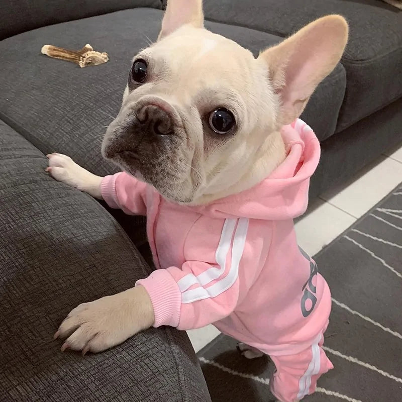 Dog Jumpsuit Costume | Adidog Sweatshirt for Dogs | Dog Sweats |Workout Wear for Dogs