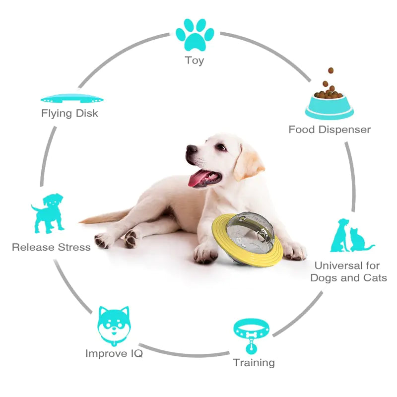 Rotating Disc Dog Toy - Bite Resistant Interactive Frisbee