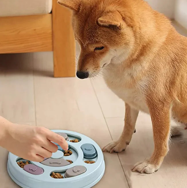 Dog Puzzle Interactive Feeding Bowls | Slow Feeder Bowl
