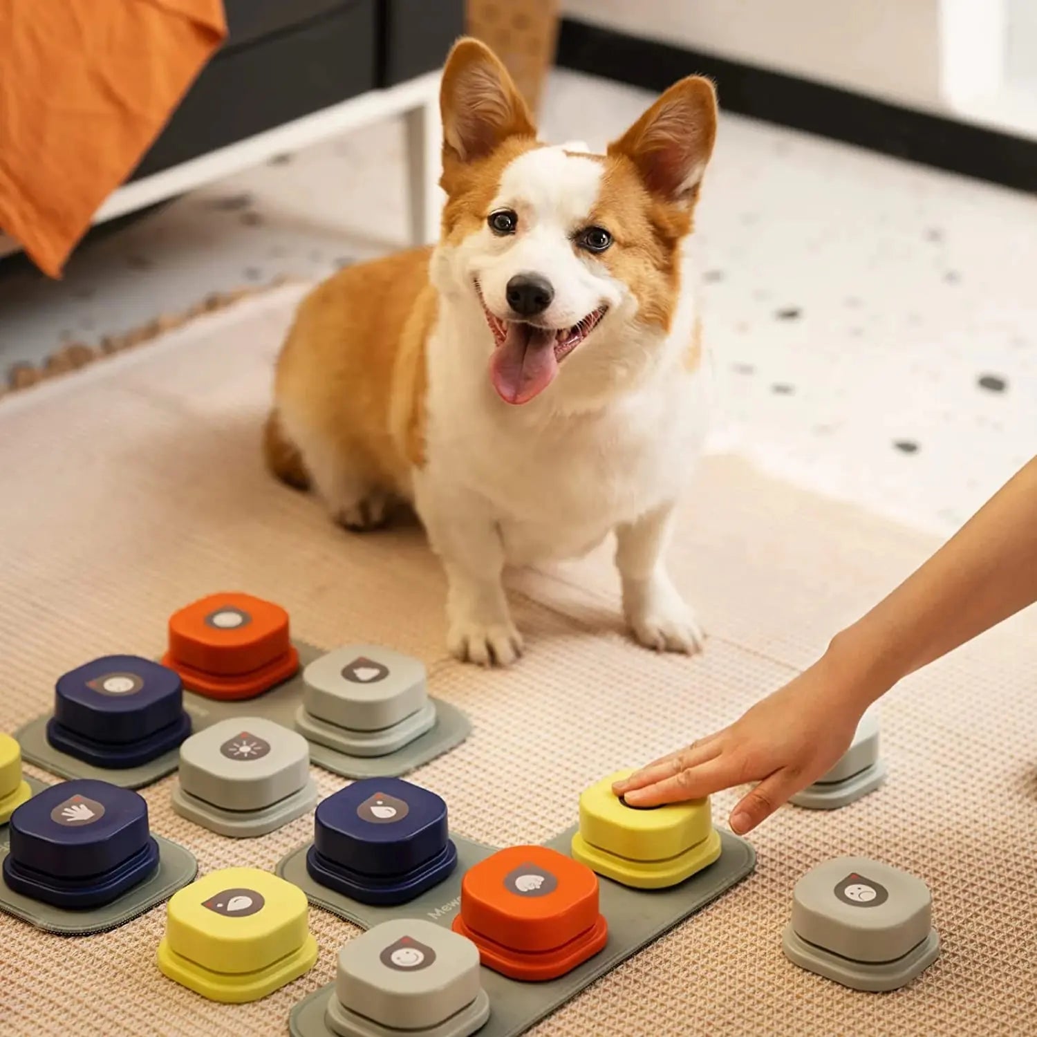 Bark Academy Pro Interactive Voice Training Bell for Dogs |Vocal Training Interactive Toy Bell Ringer
