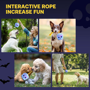 Dog Toy with Rope and Mold to Frozen Treat, Natural Rubber, Safe and Indestructible Dog Chew Toy, Interactive Dog Toy Keeps Dog Busy, Easy to Clean Dog Ball as Slow Feeder and Food Dispensing