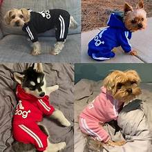 Dog Jumpsuit Costume | Adidog Sweatshirt for Dogs | Dog Sweats |Workout Wear for Dogs