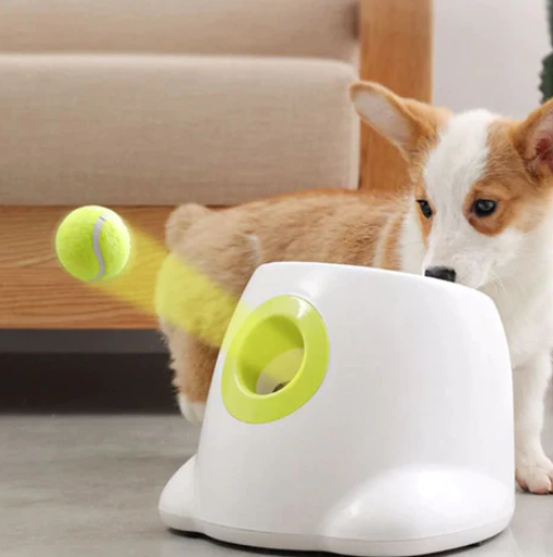 Automatic Interactive Dog Ball Launcher