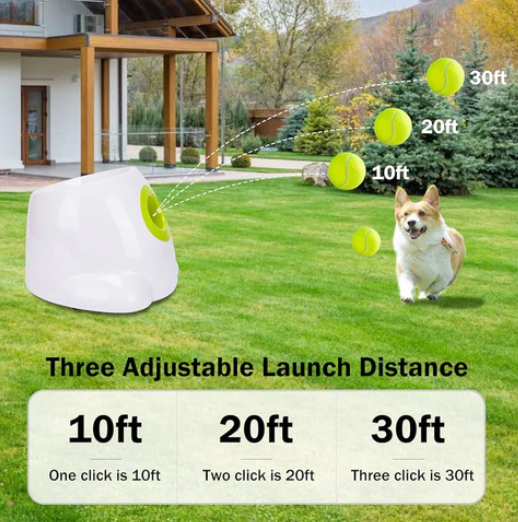 Automatic Interactive Dog Ball Launcher