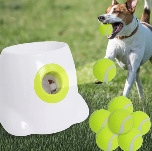 Automatic Interactive Dog Ball Launcher