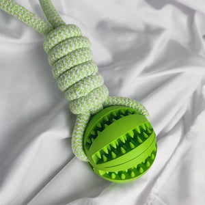 Interactive Rubber Dog Toys with Treat Leaking Balls