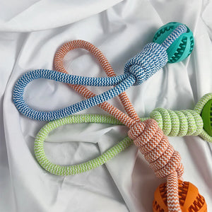 Interactive Rubber Dog Toys with Treat Leaking Balls