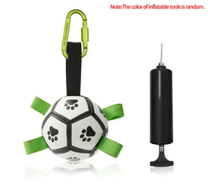 Interactive Dog Soccer Ball