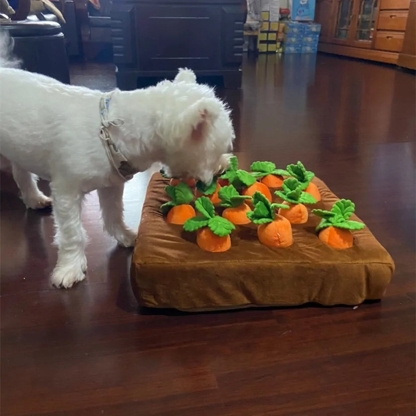 Snuffle & Forage Fun - Garden Fresh Puzzle Toys! 🥕🍎🥦 Choose Your Pup's Favorite "Harvest" - Available in Multiple Fruit &amp; Vegetable Variants!