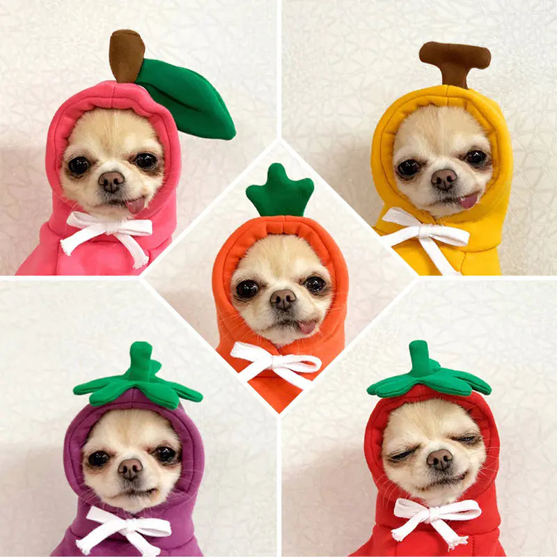 Costume, Cute And Cozy Costumes For Pet Frog |Carrot |Banana