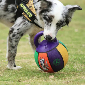 Interactive Dog Basketball and Football Toy Ball