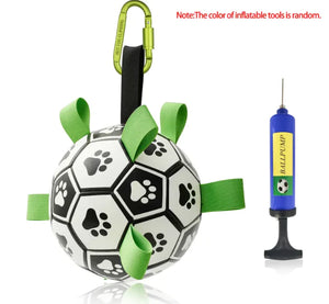 Interactive Dog Soccer Ball