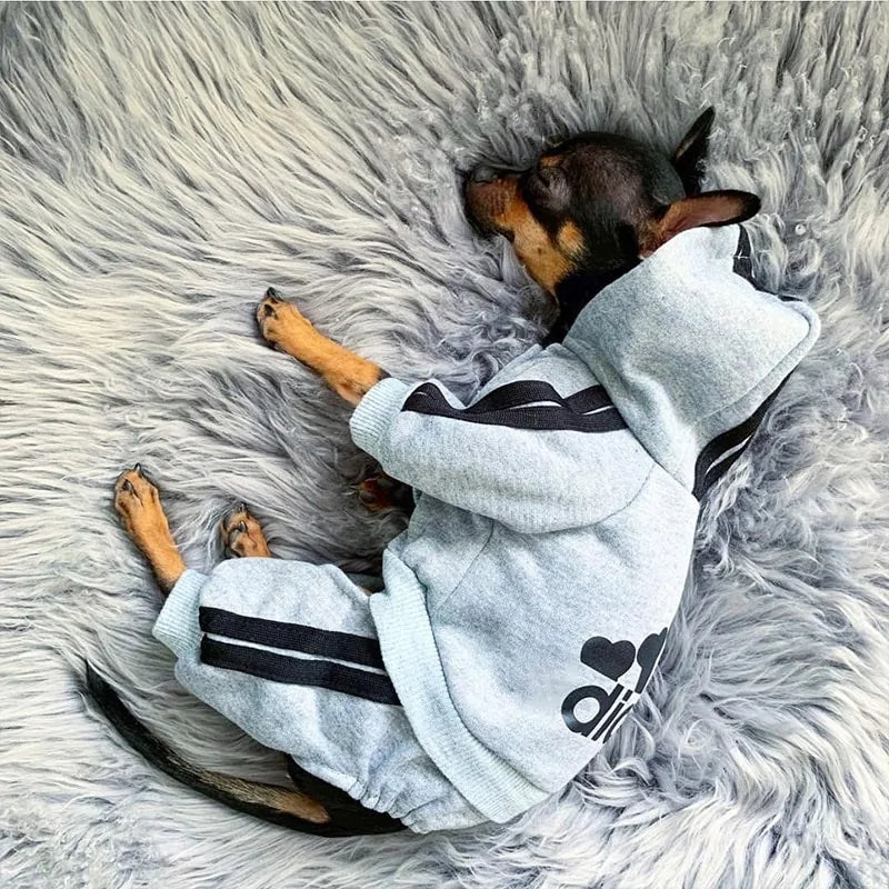 Dog Jumpsuit Costume | Adidog Sweatshirt for Dogs | Dog Sweats |Workout Wear for Dogs