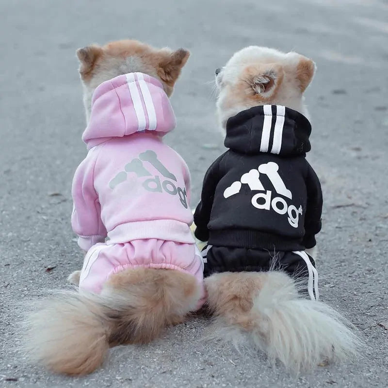 Dog Jumpsuit Costume | Adidog Sweatshirt for Dogs | Dog Sweats |Workout Wear for Dogs