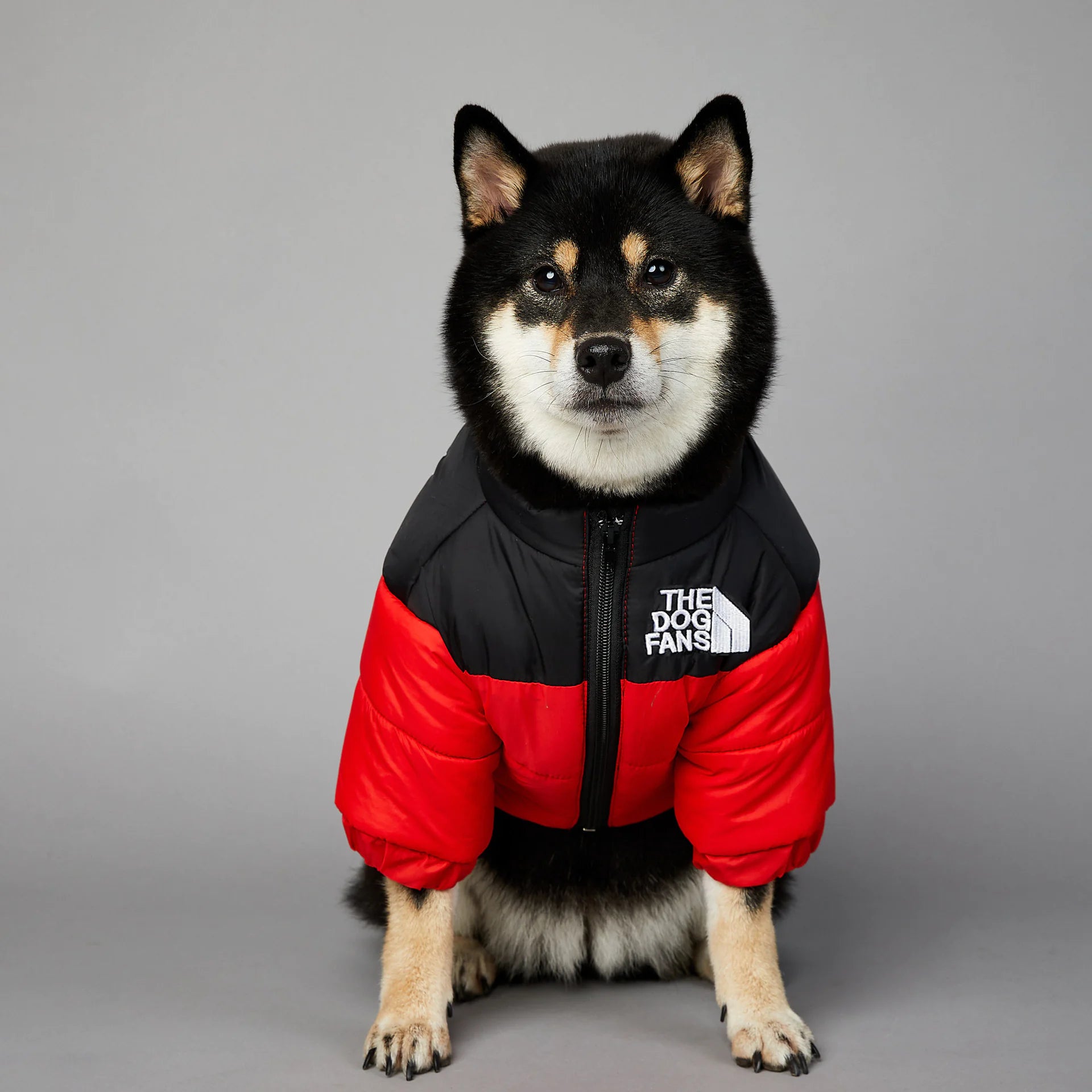The Dog Face Fashion Warm Raincoat Dog Pet Padded Jacket |Puffer Jacket