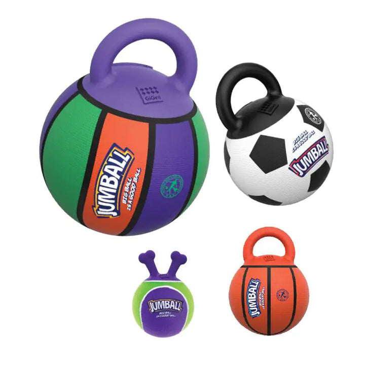 Interactive Dog Basketball and Football Toy Ball