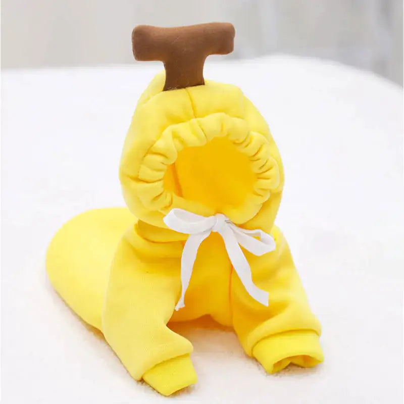 Costume, Cute And Cozy Costumes For Pet Frog |Carrot |Banana