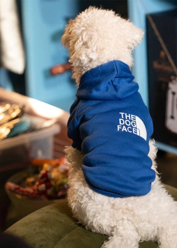 Winter Dog Hoodie - The Dog Face | Trending Winter Hoodie for Dogs
