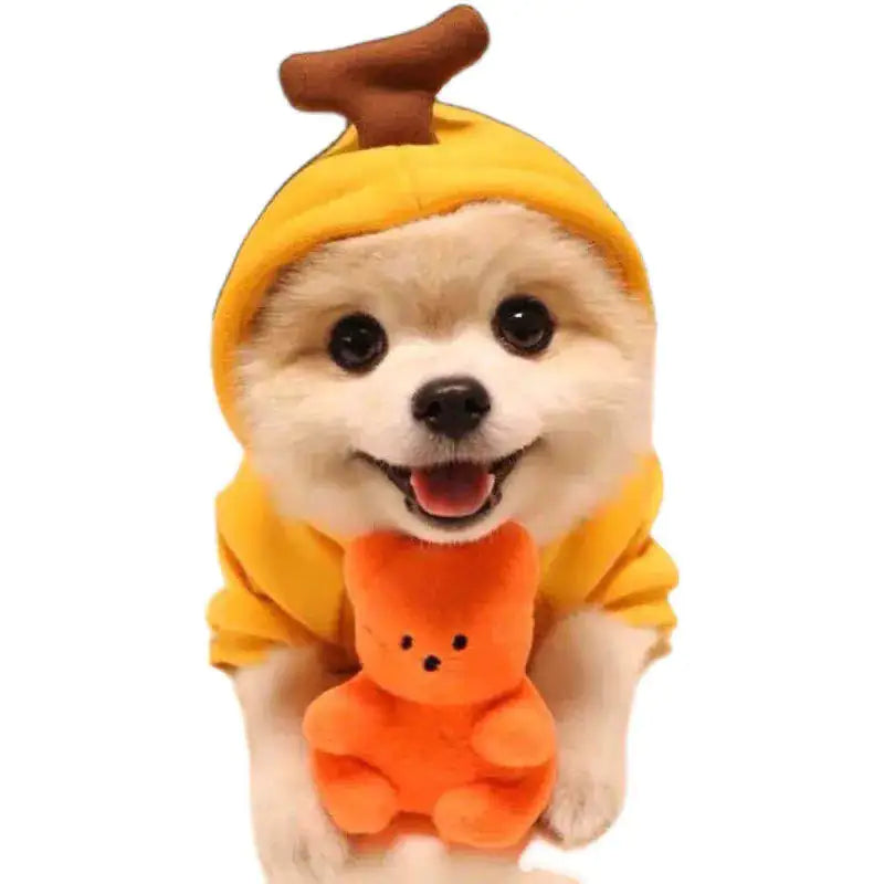 Costume, Cute And Cozy Costumes For Pet Frog |Carrot |Banana